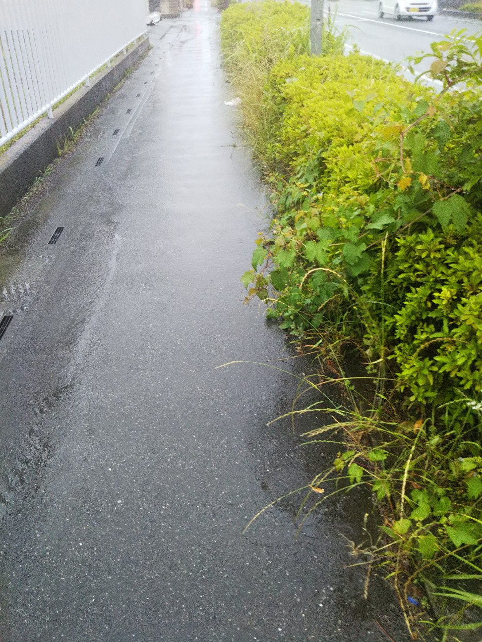 f:id:yujisyuji:20190615074341j:image