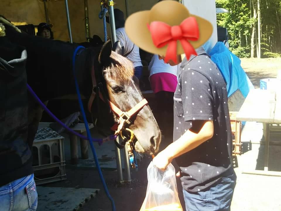 f:id:yujisyuji:20190618095444j:image f:id:yujisyuji:20190618095444j:image