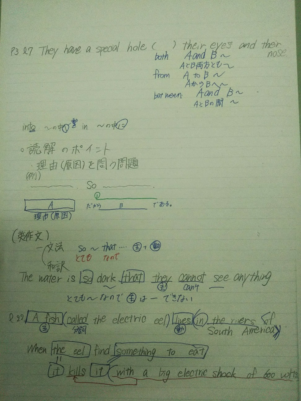 f:id:yujisyuji:20190920005513j:image