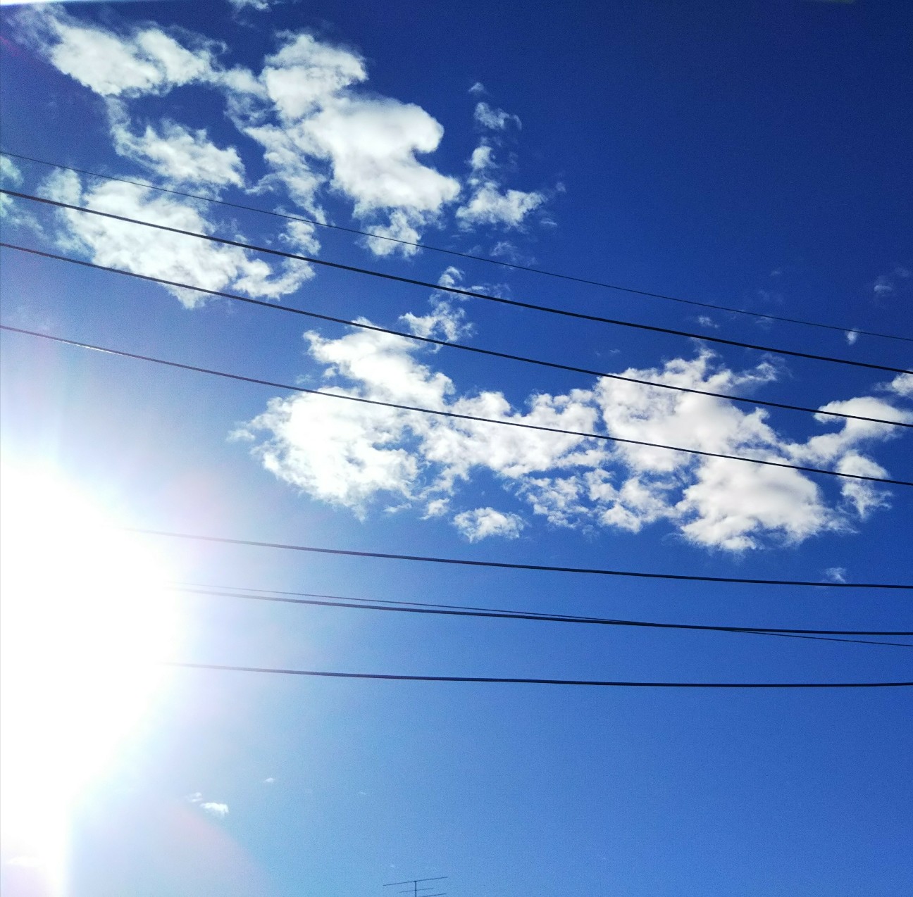 f:id:yujisyuji:20191014091229j:image f:id:yujisyuji:20191014091229j:image