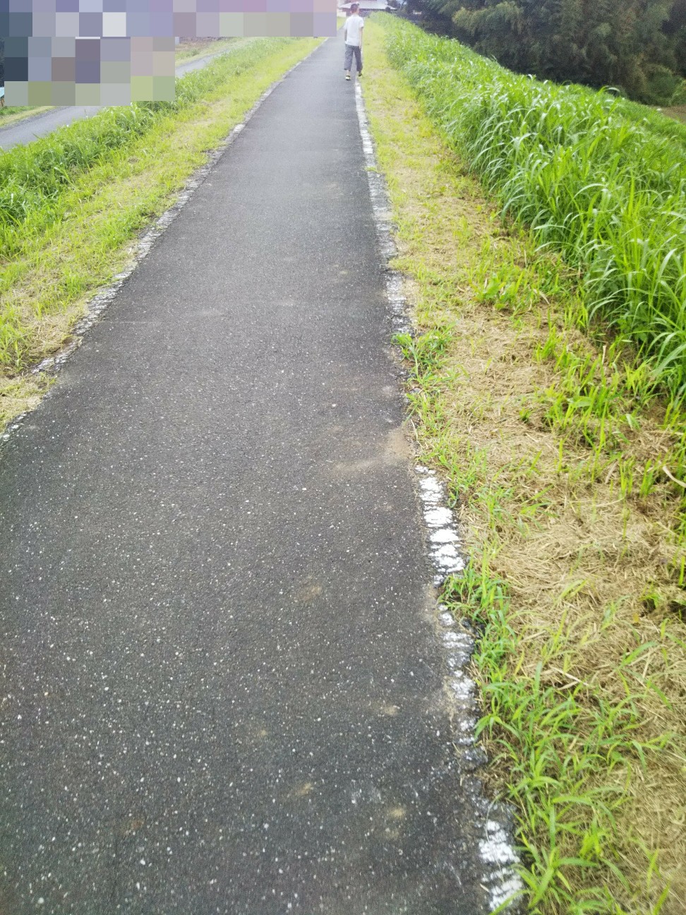 f:id:yujisyuji:20191021154008j:image