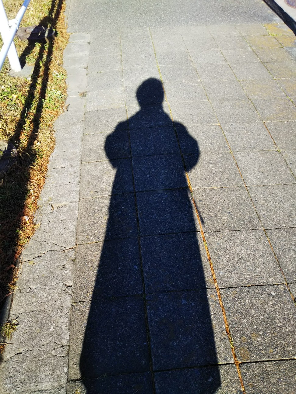 f:id:yujisyuji:20191228143017j:image f:id:yujisyuji:20191228143017j:image