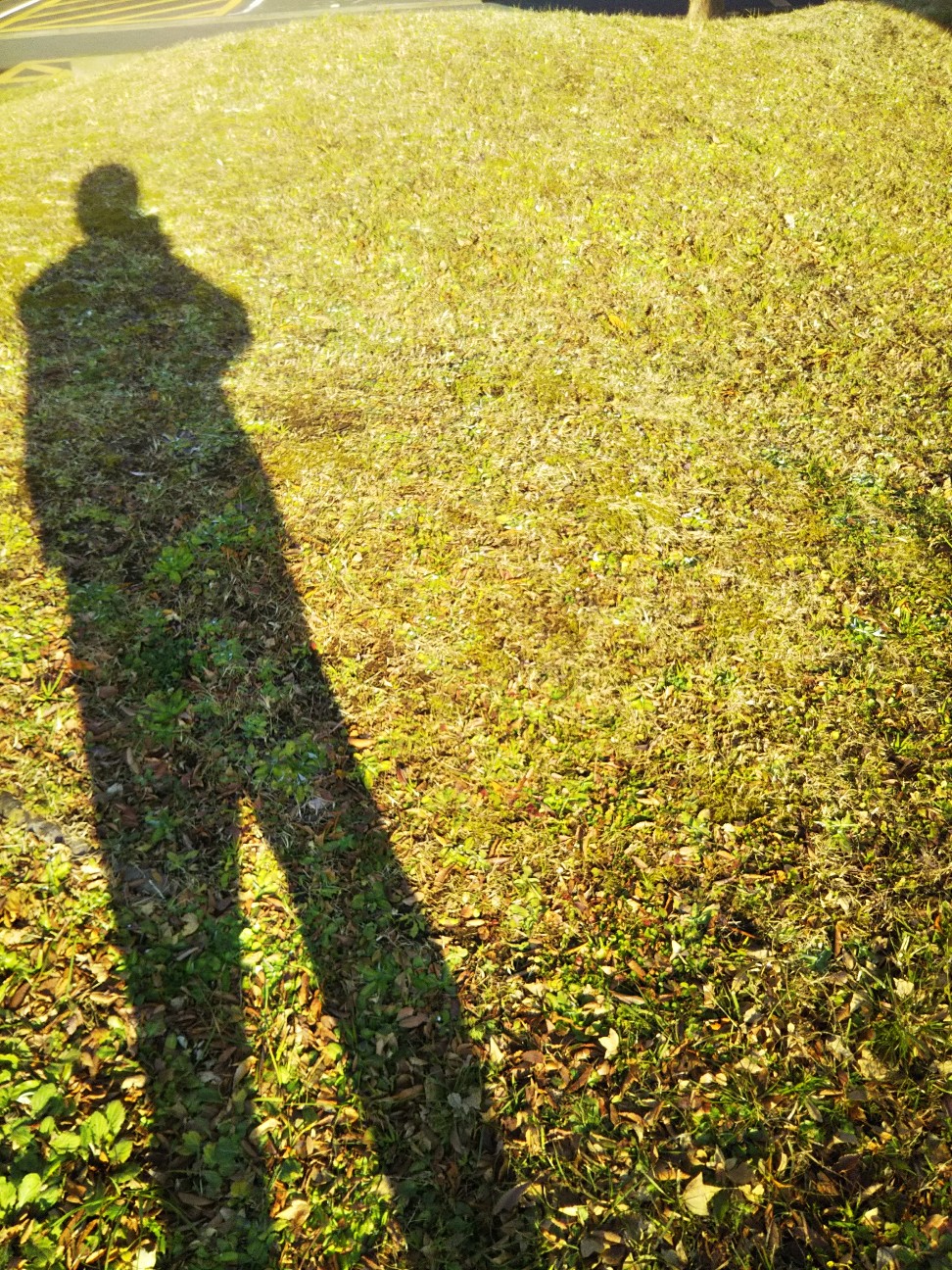 f:id:yujisyuji:20200113113115j:image f:id:yujisyuji:20200113113115j:image