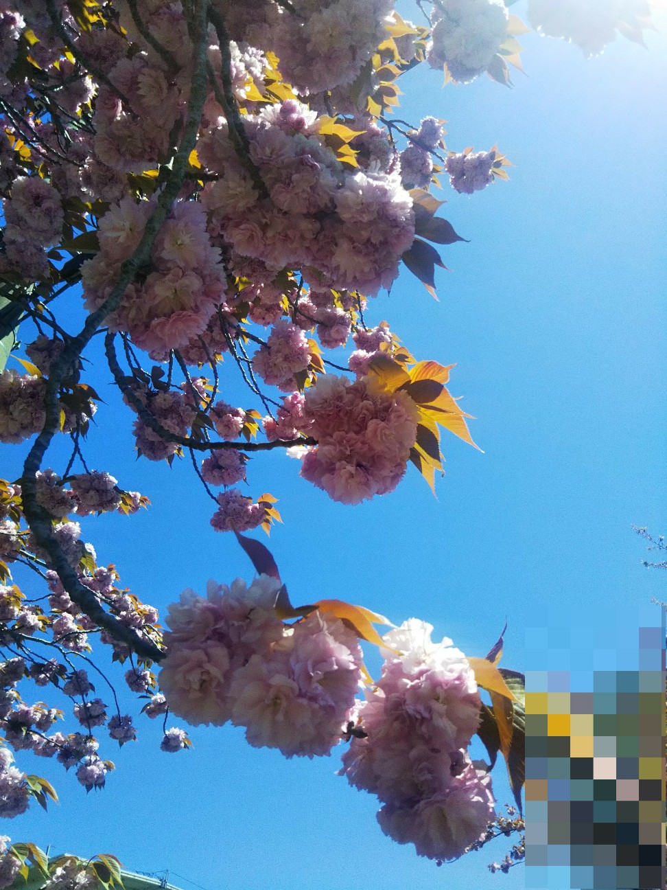 f:id:yujisyuji:20200421225954j:image f:id:yujisyuji:20200421225954j:image