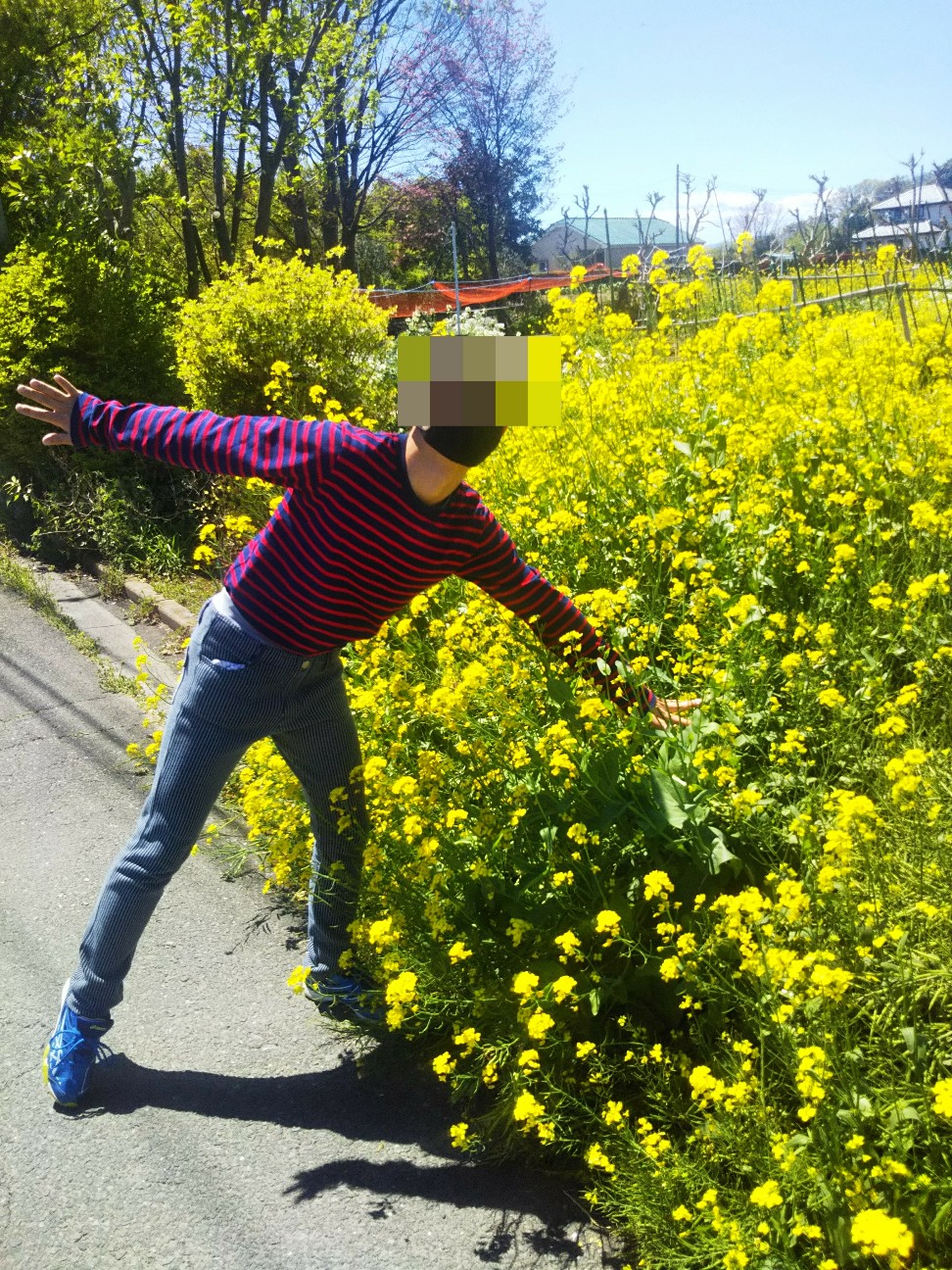 f:id:yujisyuji:20200422225344j:image f:id:yujisyuji:20200422225344j:image