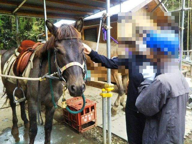 f:id:yujisyuji:20200929113204j:image f:id:yujisyuji:20200929113204j:image