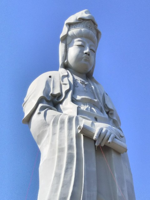 f:id:yujisyuji:20210201215518j:image f:id:yujisyuji:20210201215518j:image