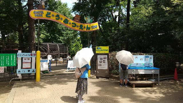 f:id:yujisyuji:20210811210941j:image f:id:yujisyuji:20210811210941j:image