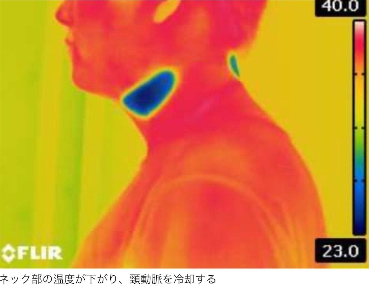 f:id:yujiy4649:20200812185738j:image f:id:yujiy4649:20200812185738j:image