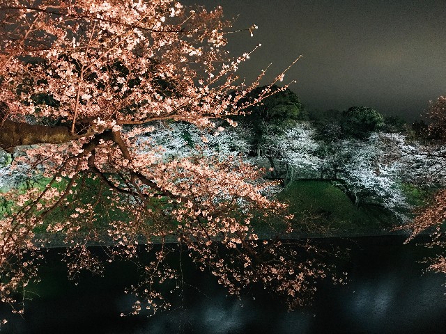 f:id:yuk1112uui:20190329222222j:plain f:id:yuk1112uui:20190329222222j:plain