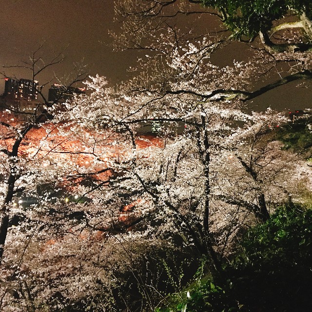 f:id:yuk1112uui:20190329222235j:plain f:id:yuk1112uui:20190329222235j:plain