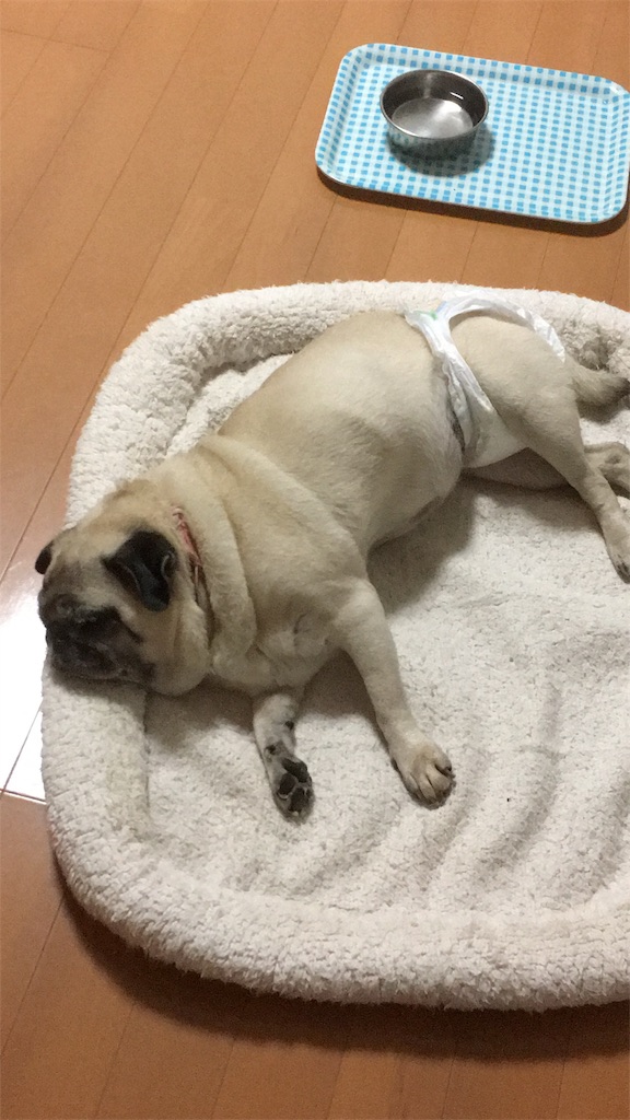 f:id:yuk23:20180904211249j:image f:id:yuk23:20180904211249j:image