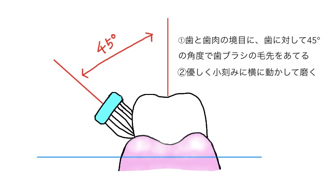 f:id:yuka-tama:20200409204540j:plain f:id:yuka-tama:20200409204540j:plain