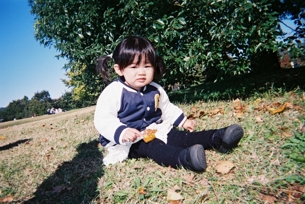 f:id:yuka100400:20171207174215j:plain