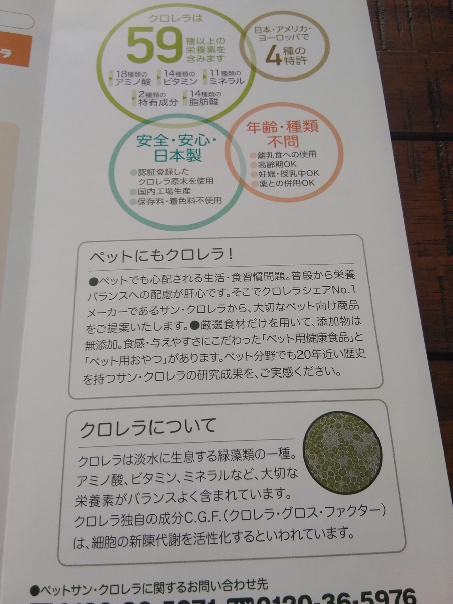 f:id:yuka103072:20190420130346j:plain