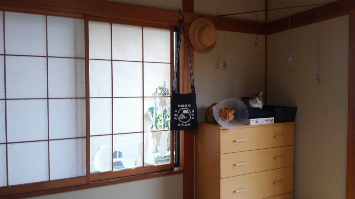 f:id:yuka3031t:20200620133751j:plain f:id:yuka3031t:20200620133751j:plain