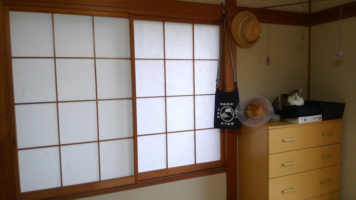 f:id:yuka3031t:20200620133819j:plain f:id:yuka3031t:20200620133819j:plain