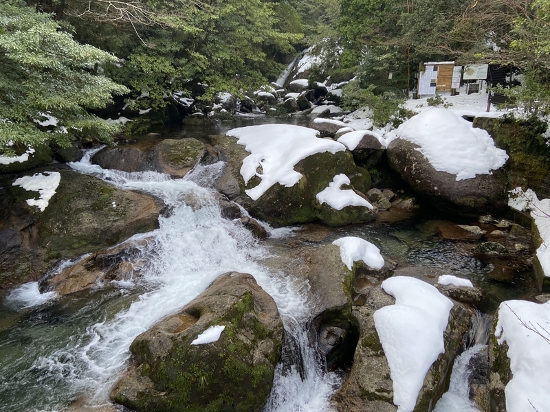 冬の屋久島に行ってきた 雪だらけの白谷雲水峡 苔むす森 ユカログ