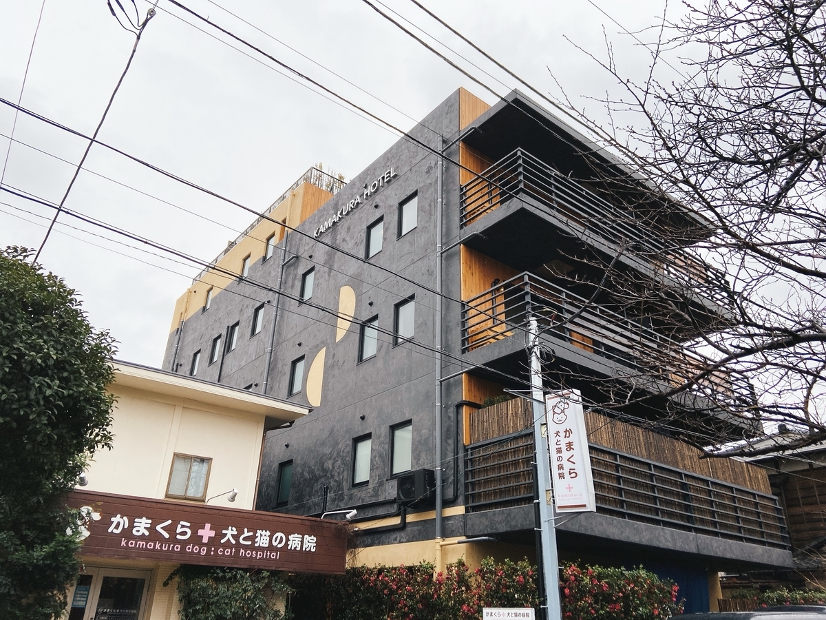 Kamakura Hotel 鎌倉ホテル に泊まってきた ラウンジとお部屋紹介 ユカログ