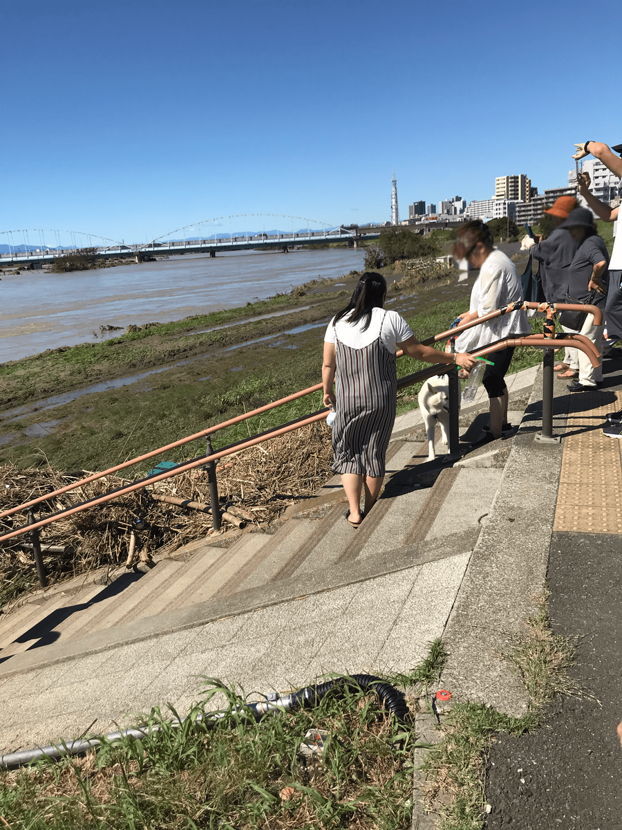 台風翌日の多摩川河川敷の写真2