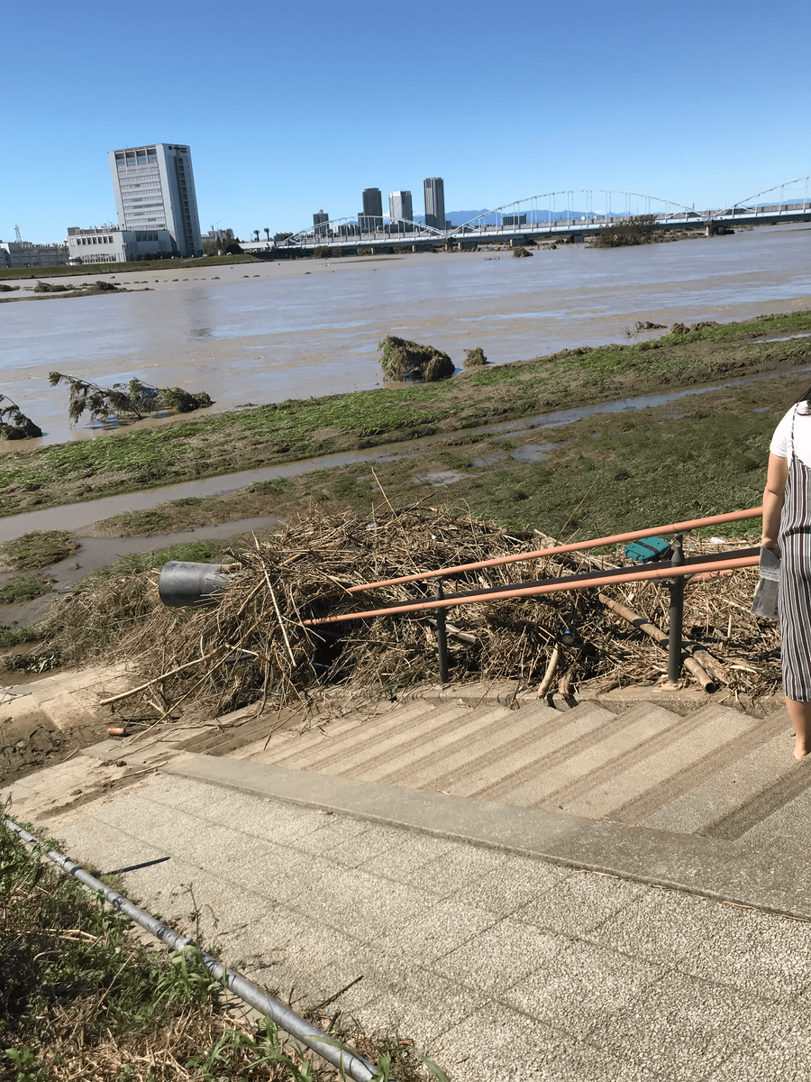 台風翌日の多摩川河川敷の写真1