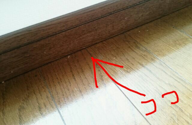 虫の侵入経路を塞ぐべし 99 のムダを滅ぼす会