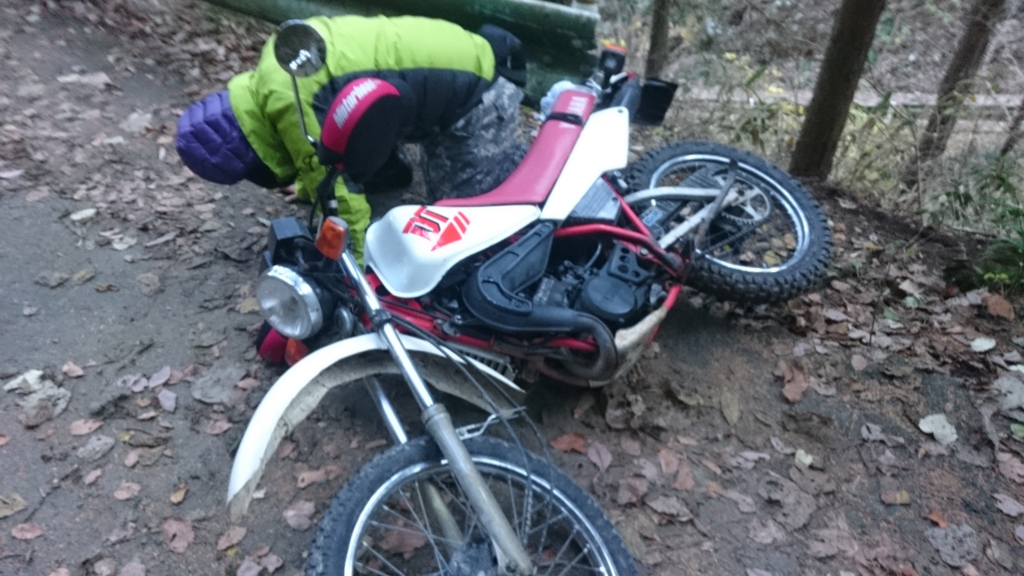 f:id:yukainaOMEME:20161218214953j:plain