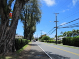 f:id:yukami_dna:20110624071758j:image f:id:yukami_dna:20110624071758j:image
