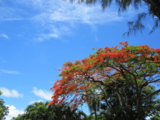 f:id:yukami_dna:20110624071805j:image f:id:yukami_dna:20110624071805j:image