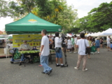 f:id:yukami_dna:20110626024408j:image:w160 f:id:yukami_dna:20110626024408j:image:w160
