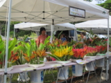 f:id:yukami_dna:20110626024527j:image:w160 f:id:yukami_dna:20110626024527j:image:w160