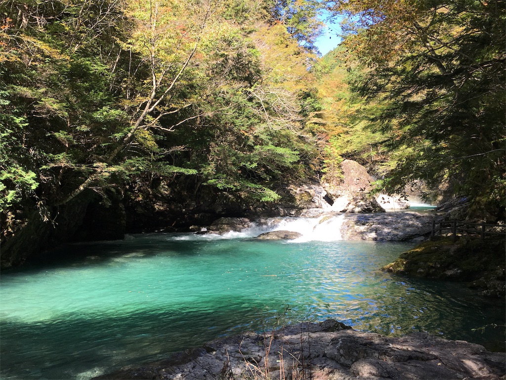 f:id:yukane_naito:20171101094950j:image f:id:yukane_naito:20171101094950j:image