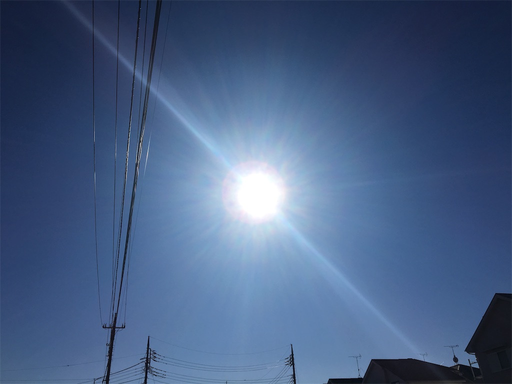 f:id:yukane_naito:20190121161956j:image f:id:yukane_naito:20190121161956j:image