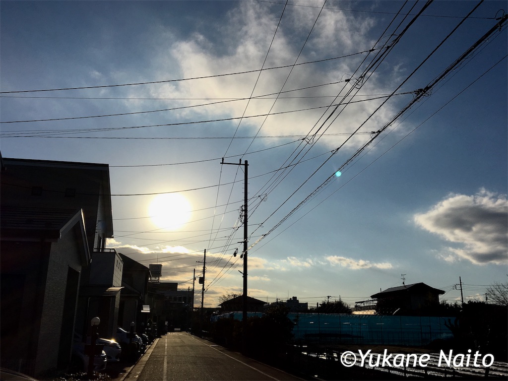 f:id:yukane_naito:20190123112001j:image f:id:yukane_naito:20190123112001j:image