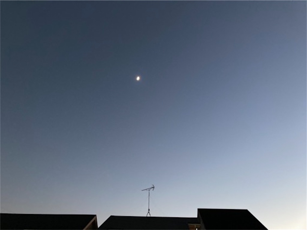f:id:yukane_naito:20201231151327j:image
