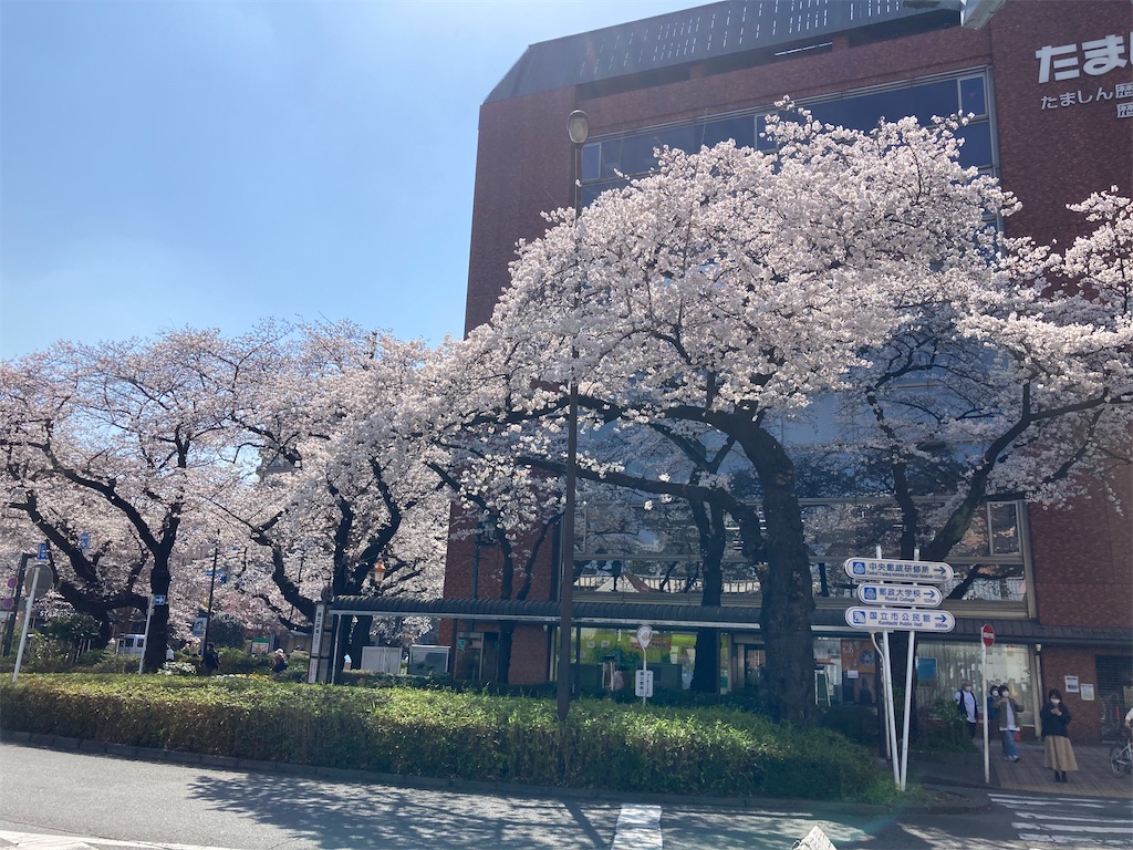 f:id:yukane_naito:20230403160951j:image