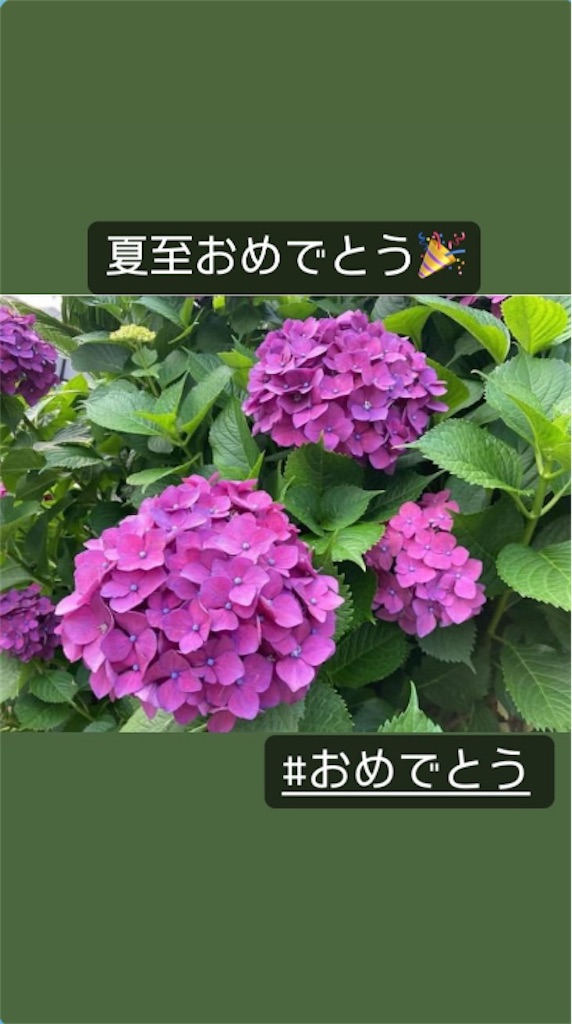 f:id:yukane_naito:20250623124212j:image