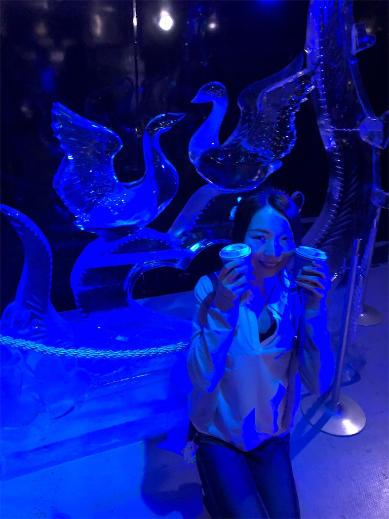 f:id:yukanzel:20180508151744j:image