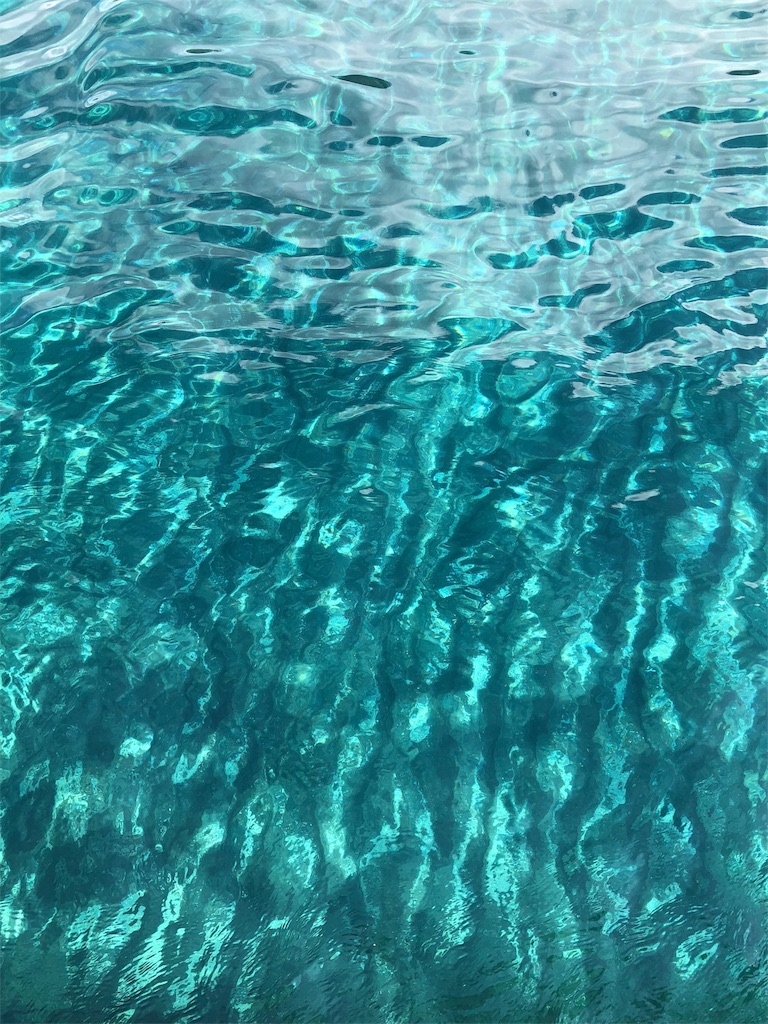 f:id:yukanzel:20180513224051j:image