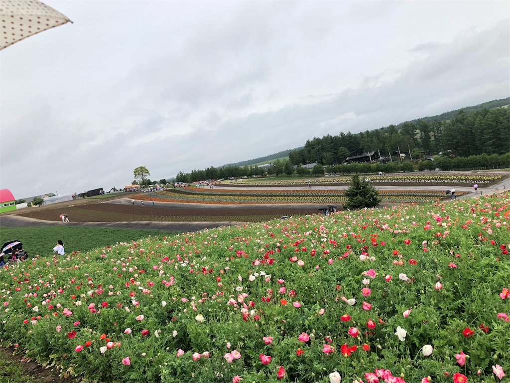 f:id:yukanzel:20180705144253j:image