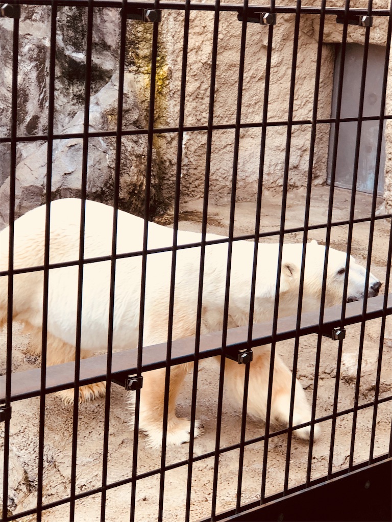f:id:yukanzel:20180705144437j:image