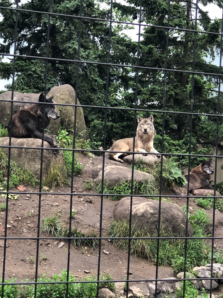 f:id:yukanzel:20180705144513j:image