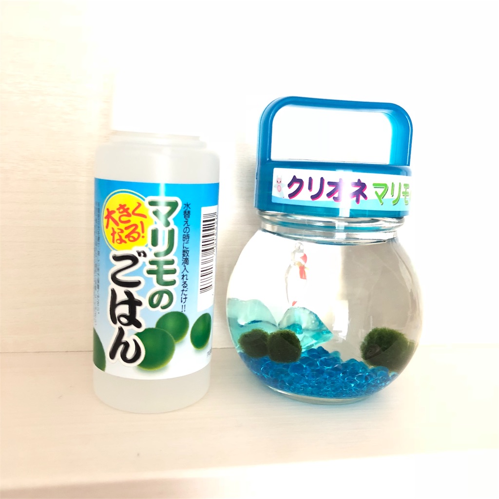 f:id:yukanzel:20180824143015j:image f:id:yukanzel:20180824143015j:image