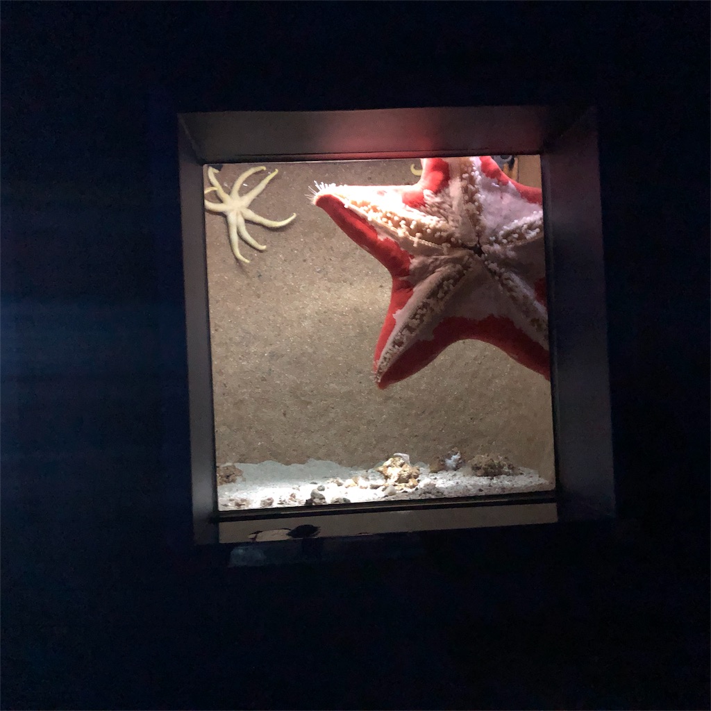 f:id:yukanzel:20181015095132j:image