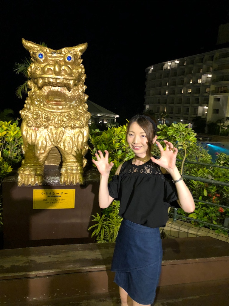 f:id:yukanzel:20181112200447j:image
