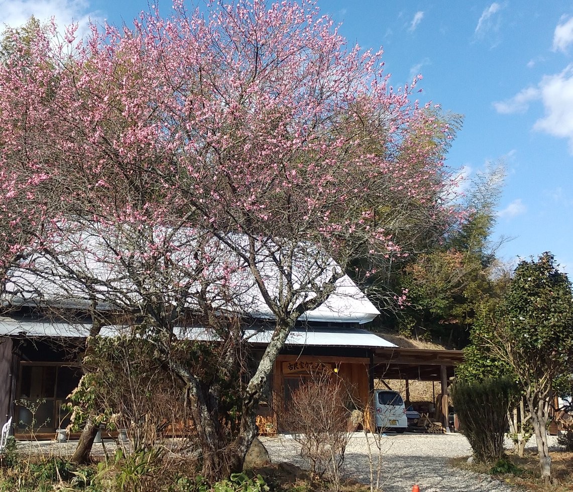 f:id:yukappesan:20210221191937j:image