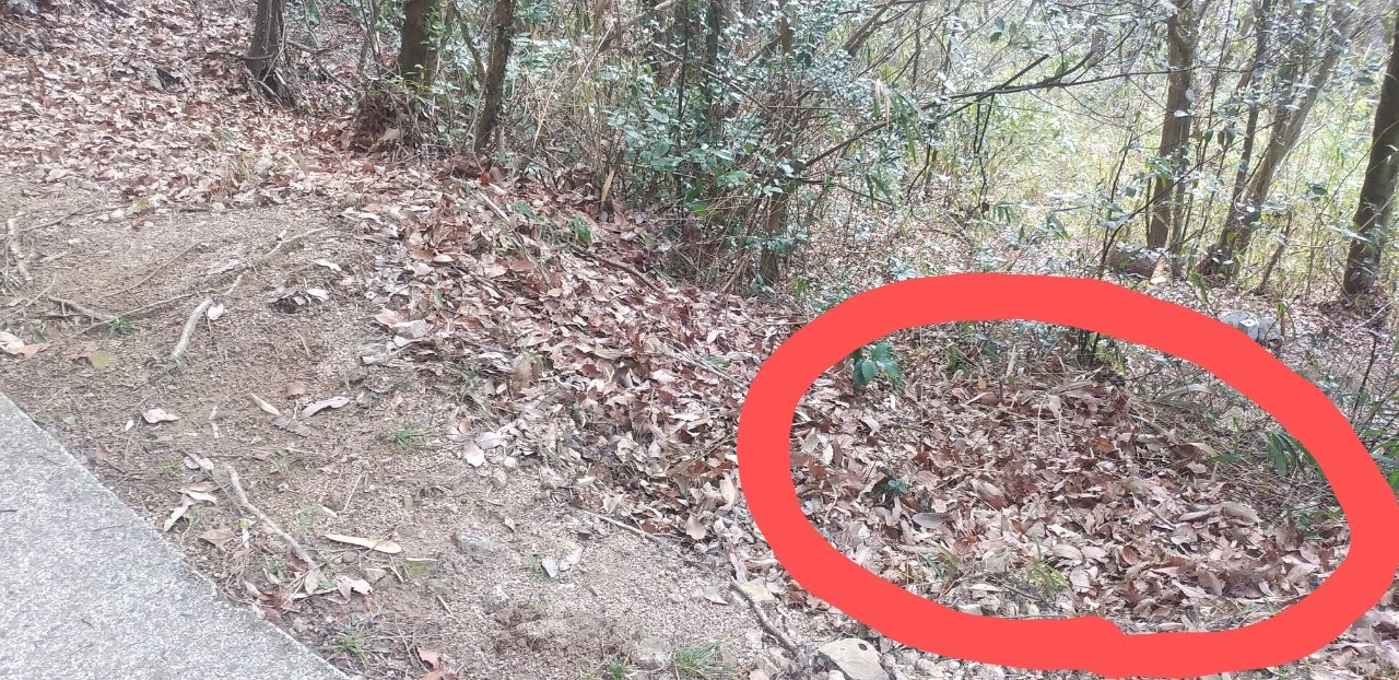 f:id:yukappesan:20210309083927j:image