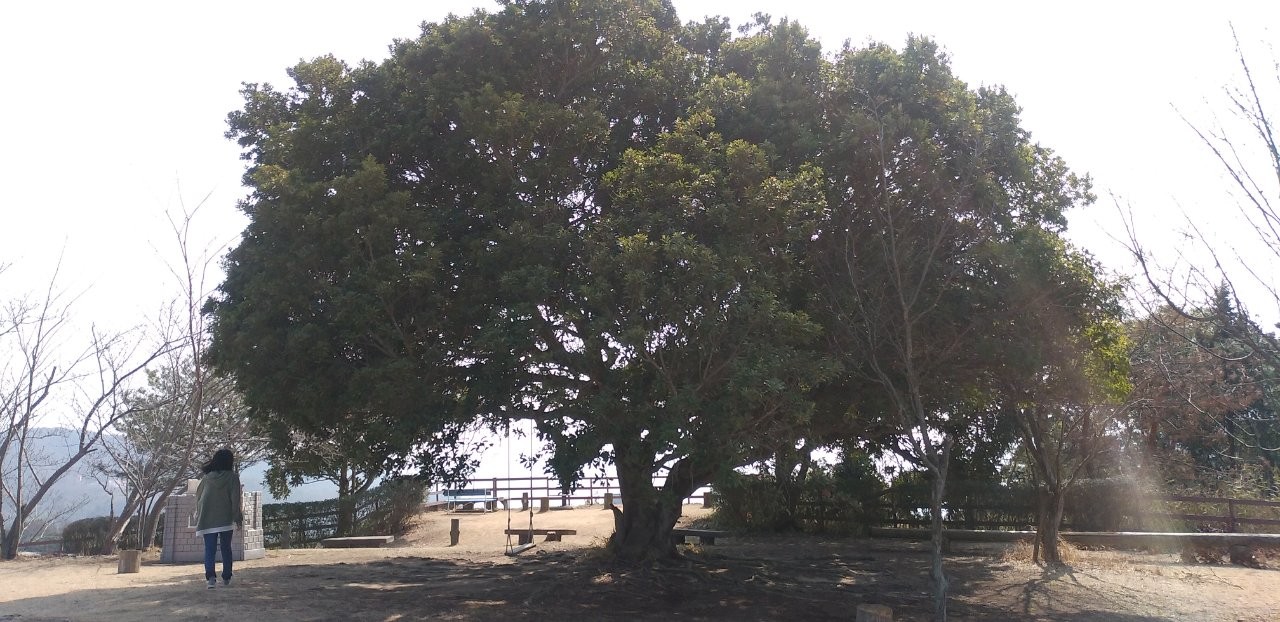 f:id:yukappesan:20210322110330j:image