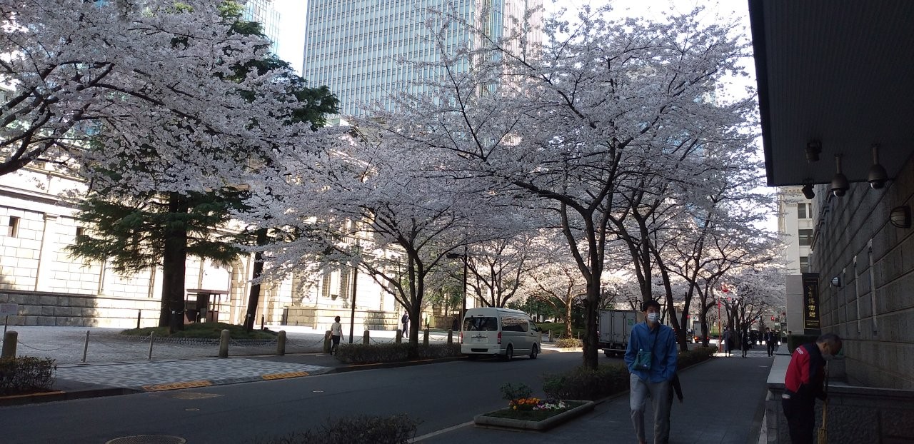 f:id:yukappesan:20210405200330j:image f:id:yukappesan:20210405200330j:image