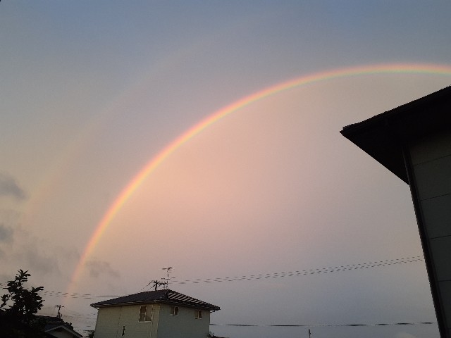 f:id:yukappesan:20210819201829j:image